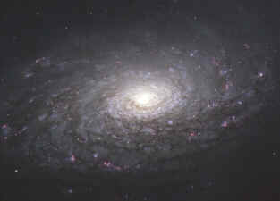 La galaxie du Tournesol